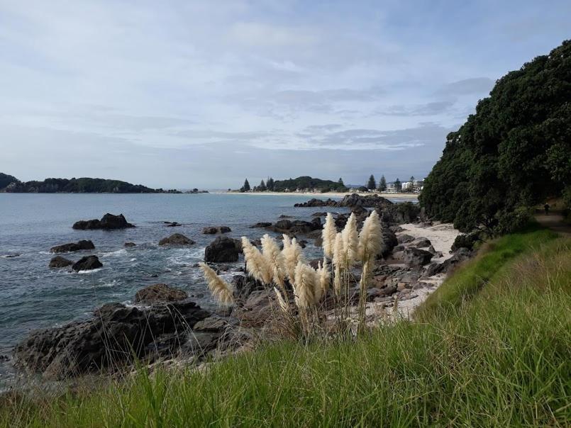 Downtown Mount B And B Mount Maunganui Exterior foto